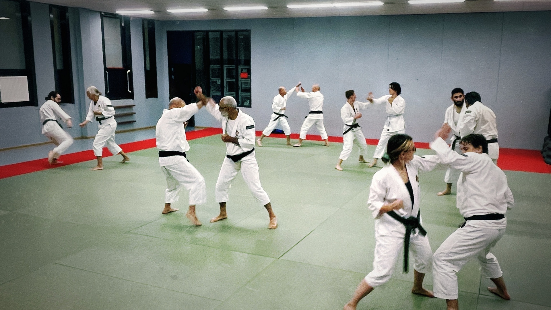 Randori (sparing)